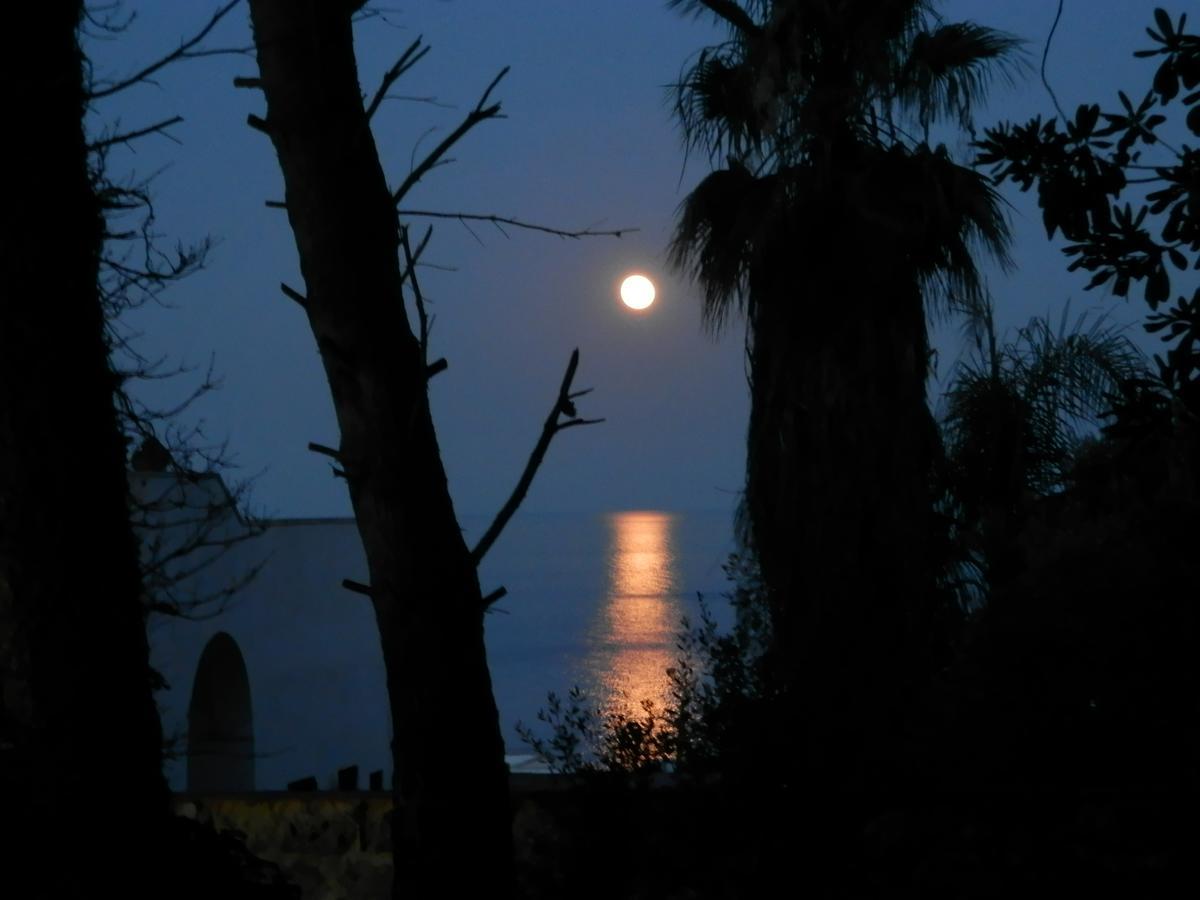 Agriturismo Salento D'Arare 마리나 세라 외부 사진